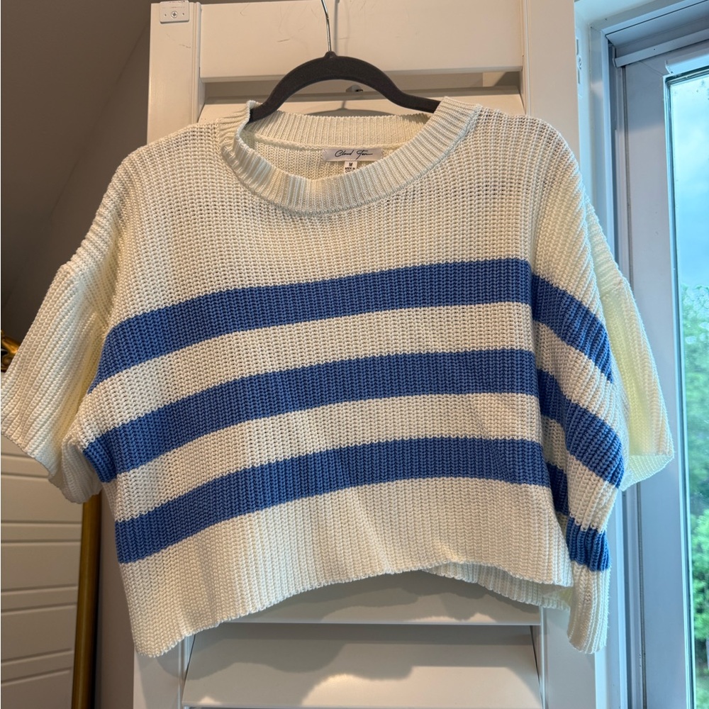 Chic Blue and White Striped Sweater